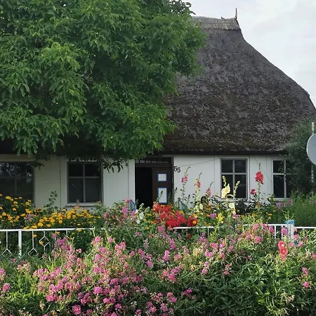 Wohlfuehl-orte24 Am Hafen In Schaprode, Ruegen *