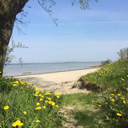 Apartamento Wohlfuehl-orte24 Am Hafen In Schaprode, Ruegen Schaprode